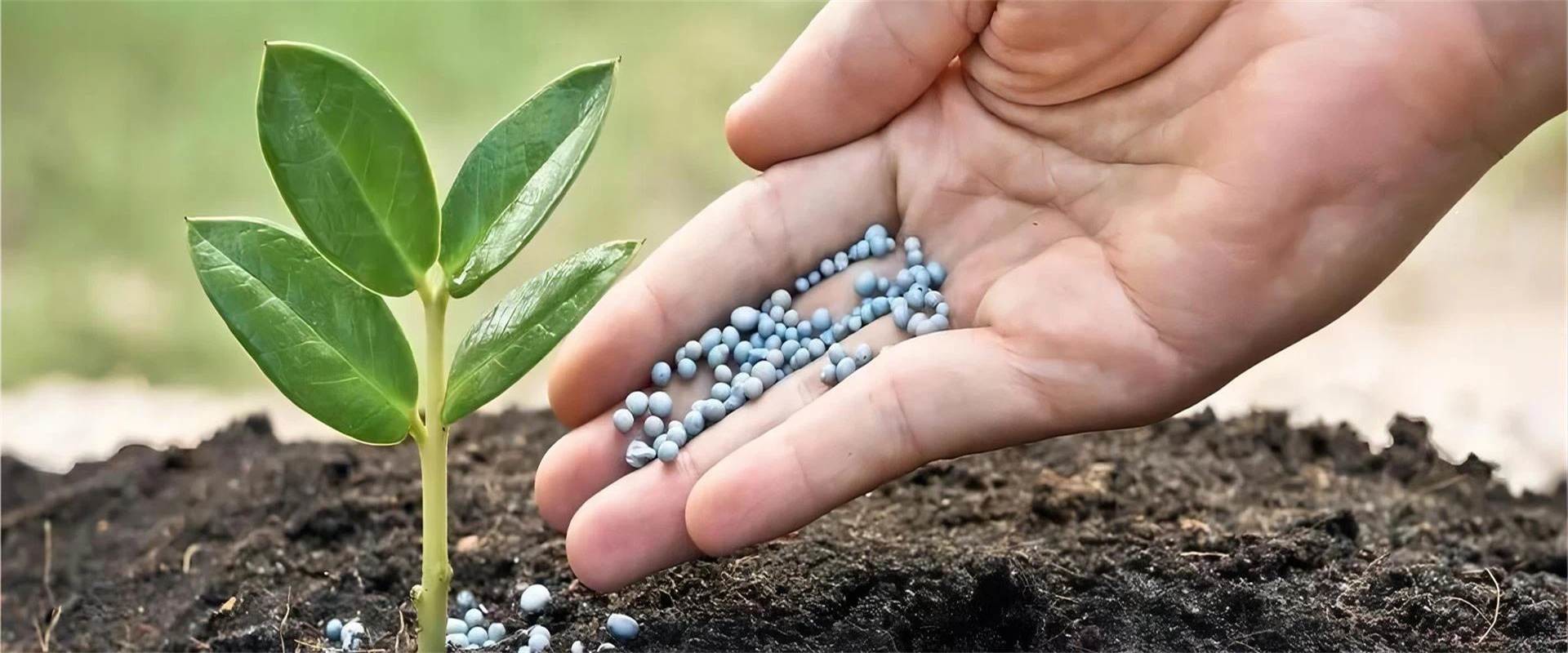جودة المضافات الغذائية والأعلاف مصنع
