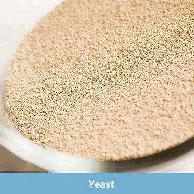 سعر جيد مخمير جاف فوري منخفض السكر 500 غرام حزمة فراغية الانترنت