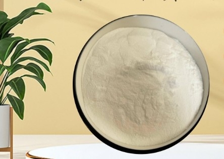 سعر جيد CAS 90-80-2 E575 غلوكونو دلتا لاكتون غدل مسحوق لصناعة الخبز واللحوم الانترنت
