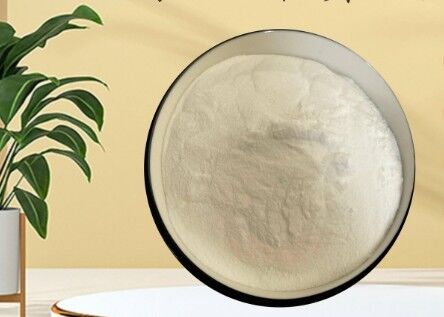 سعر جيد GDL CAS 90-80-2 مسحوق أبيض للطعام Glucono Delta Lactone لمنتجات الألبان المخابز الانترنت