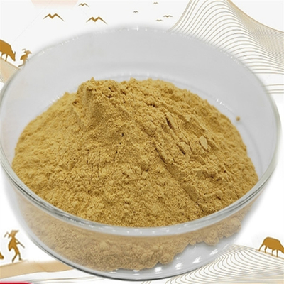 سعر جيد CAS 90045-38-8 مستخلص الجينسنغ مكمل غذائي مستخلص جذور الجينسنغ الانترنت