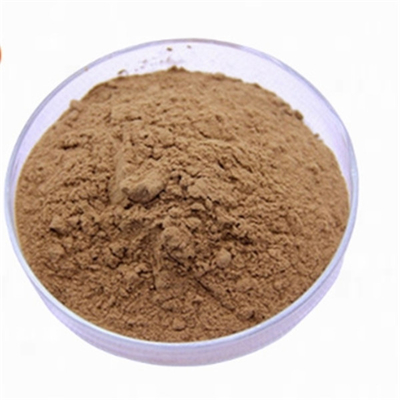 سعر جيد CAS 90045-36-6 مضادات الأكسدة استخراج أوراق الجينكو بيلوبا الانترنت