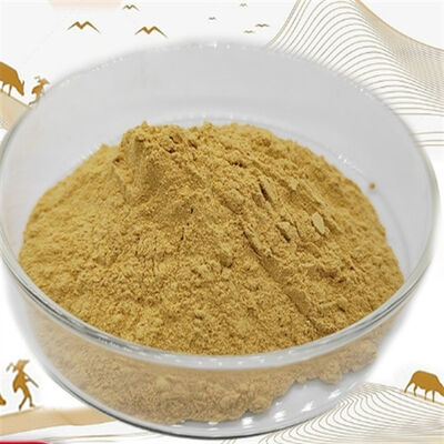 سعر جيد مستخلص اشواغاندا CAS 90147-43-6 درجة مستحضرات التجميل ويثانوليد أدابتوجين للعناية بالبشرة المضادة للشيخوخة الانترنت