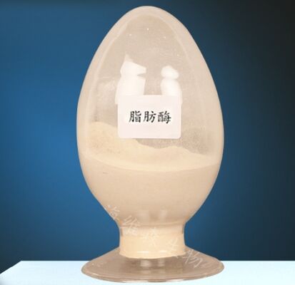 سعر جيد CAS 9001-62-1 إنزيمات الليباسات للتمثيل الغذائي للدهون الانترنت