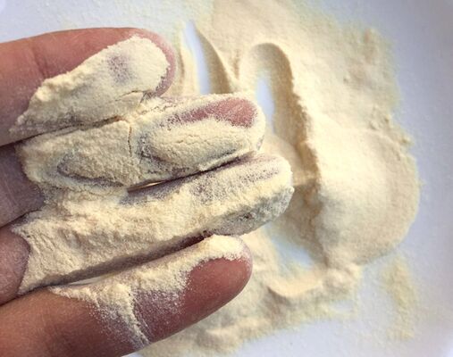 سعر جيد CAS 9000-90-2 إنزيم النشا الأميلاز الصف الغذائي للصناعة البيرة ألفا-أميلاز الانترنت