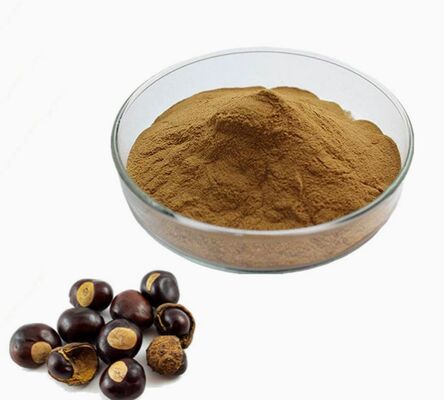 سعر جيد CAS 8053-39-2 مستخلص بذور Aesculus Hippocastanum مستحضرات التجميل المضادة للشيخوخة مستخلص كستناء الحصان الانترنت