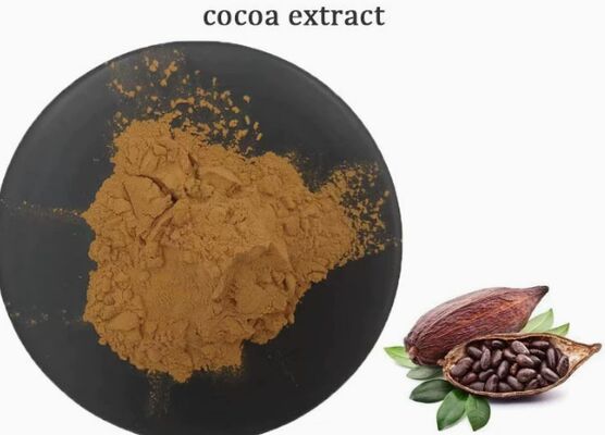 سعر جيد CAS 84649-99-0 مستخلص الكاكاو Theobroma لمستخلص الكاكاو للأغذية والمشروبات الانترنت